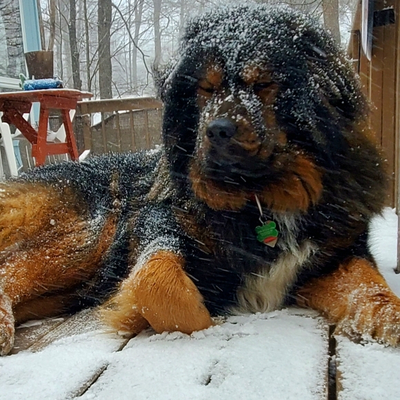 Meet your Posher, Susan - Picture 2 of 6